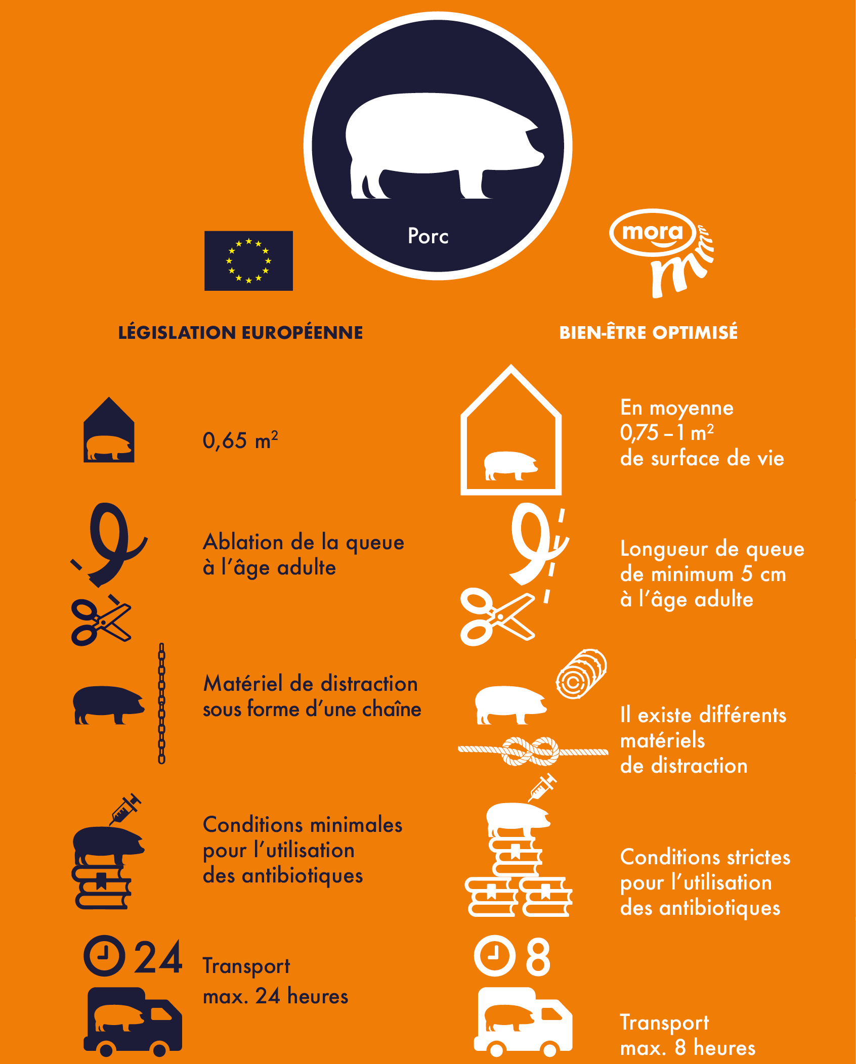 Mora - Bien être - Porc